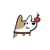 由 gpijh76 (刊登 ID 1383488884，圖片 1) 提交，位於 的 (類別：)，說明：。