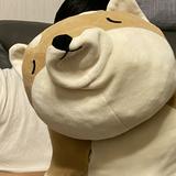（分類：）位於 。 由 skh1233 提交（商品編號 1308474260，圖片 1）。簡介： 。