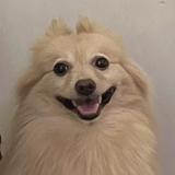 （分類：）位於 。 由 gggggggggggggg1 提交（商品編號 1385457280，圖片 1）。簡介： 。