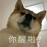 由 sp921004 (刊登 ID 1338208541，圖片 1) 提交，位於 的 (類別：)，說明：。