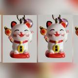 (Category: ) located in . Submitted by xismart (Listing ID 1350459033, Image 1). Description: .