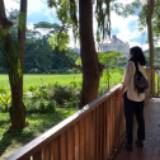 (Kategori: ) berada di . Dikirim oleh yakingamaubeli (ID iklan 1182792499, Gambar 1). Deskripsi: .