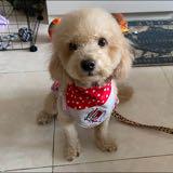 (Category: ) located in . Submitted by yasminewill (Listing ID 1455739230, Image 1). Description: .
