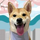 (Category: ) located in . Submitted by jiyojiyo (Listing ID 1382699815, Image 1). Description: .