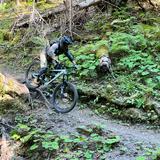 (Category: ) located in . Submitted by enduro88 (Listing ID 1319003231, Image 1). Description: .
