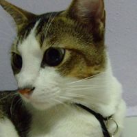 (Category: ) located in . Submitted by queek (Listing ID 1311667463, Image 1). Description: .