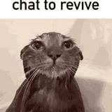（分類：）位於 。 由 EEEMEOW 提交（商品編號 1176268280，圖片 1）。簡介： 。