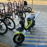(Category: ) located in . Submitted by pepita21 (Listing ID 1443749506, Image 1). Description: .