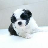 （分類：）位於 。 由 tiffytiffy2002 提交（商品編號 1383053006，圖片 1）。簡介： 。