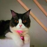 (Category: ) located in . Submitted by ellyj17 (Listing ID 1463593591, Image 1). Description: .