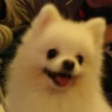 (分類:)位於 。 由 kat_1025 提交(商品編號 1398845213,圖片 1)。簡介: 。