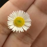 (Category: ) located in . Submitted by Kaydee (Listing ID 1372751397, Image 1). Description: .