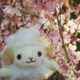 (Category: ) located in . Submitted by meowcheng (Listing ID 1351473568, Image 1). Description: .