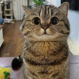 （分類：）位於 。 由 oo00oo00oo 提交（商品編號 1369658147，圖片 1）。簡介： 。