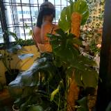 (Category: ) located in . Submitted by mswww84 (Listing ID 1445253744, Image 1). Description: .