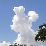 （分類：）位於 。 由 thiessellsth 提交（商品編號 1380761603，圖片 1）。簡介： 。