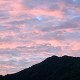 （分類：）位於 。 由 gratefulkid 提交（商品編號 1252926873，圖片 1）。簡介： 。