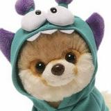 (Category: ) located in . Submitted by buywatever (Listing ID 1359909552, Image 1). Description: .