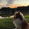 (Category: ) located in . Submitted by ngfamilyyy (Listing ID 1342009375, Image 1). Description: .