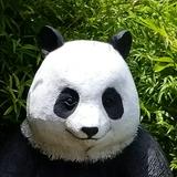 （分類：）位於 。 由 mrmsp 提交（商品編號 1384041899，圖片 1）。簡介： 。