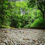 （分類：）位於 。 由 skybuller_101 提交（商品編號 1368658758，圖片 1）。簡介： 。