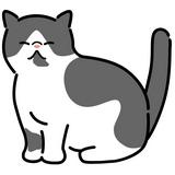（分類：）位於 。 由 wcats 提交（商品編號 1359893344，圖片 1）。簡介： 。