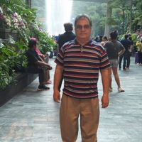 (Category: ) located in . Submitted by abidalishah554 (Listing ID 1416866266, Image 1). Description: .