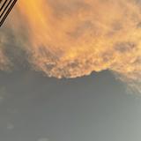 由 luvyuuy (刊登 ID 1381100554，圖片 1) 提交，位於 的 (類別：)，說明：。