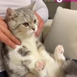 （分類：）位於 。 由 NicoleC 提交（商品編號 1178996239，圖片 1）。簡介： 。