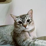 (Category: ) located in . Submitted by bayhw (Listing ID 1376360975, Image 1). Description: .
