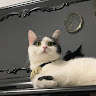 (分類:)位於 。 由 na.12.11 提交(商品編號 1443899277,圖片 1)。簡介: 。