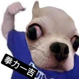 由 duleright (刊登 ID 1383149375，圖片 1) 提交，位於 的 (類別：)，說明：。