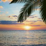 (Category: ) located in . Submitted by alwaysunique (Listing ID 1345126349, Image 1). Description: .