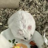 (Category: ) located in . Submitted by randomwhack (Listing ID 1345060516, Image 1). Description: .