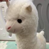 (Category: ) located in . Submitted by seaseal (Listing ID 1178298386, Image 1). Description: .