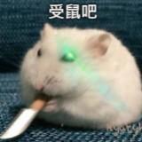 由 iris9920 (刊登 ID 1379003899，圖片 1) 提交，位於 的 (類別：)，說明：。