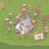 (Category: ) located in . Submitted by fluffycows764 (Listing ID 1374439774, Image 1). Description: .