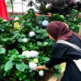 (Category: ) located in . Submitted by afifahizzati37 (Listing ID 1465751922, Image 1). Description: .