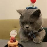 （分類：）位於 。 由 cholieching 提交（商品編號 1381067226，圖片 1）。簡介： 。