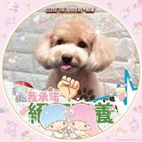（分類：）位於 。 由 eddy128328 提交（商品編號 1298664807，圖片 1）。簡介： 。