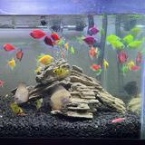 (Kategori: ) berada di . Dikirim oleh azizah.amelinda (ID iklan 1305296750, Gambar 1). Deskripsi: .