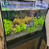 （分類：）位於 。 由 jklaylay 提交（商品編號 1205229761，圖片 1）。簡介： 。