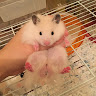 （分類：）位於 。 由 katkat._.bb 提交（商品編號 1382102762，圖片 1）。簡介： 。