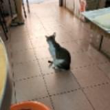 (分類:)位於 。 由 laoboaini 提交(商品編號 1183947253,圖片 1)。簡介: 。