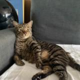 (Category: ) located in . Submitted by mentitym (Listing ID 1382537711, Image 1). Description: .