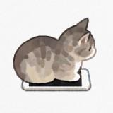(Category: ) located in . Submitted by dumplingbread (Listing ID 1372950455, Image 1). Description: .