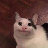 (分類:)位於 。 由 fatboyeatallday_ss 提交(商品編號 1466646526,圖片 1)。簡介: 。