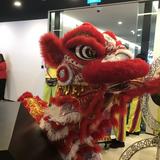 (Category: ) located in . Submitted by gidlim93 (Listing ID 1001782767, Image 1). Description: .