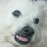 由 ilovejks9402071671 (刊登 ID 1383531751，圖片 1) 提交，位於 的 (類別：)，說明：。