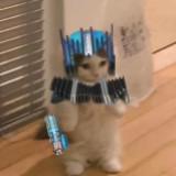 (Category: ) located in . Submitted by Laxtoysss (Listing ID 1412941971, Image 1). Description: .